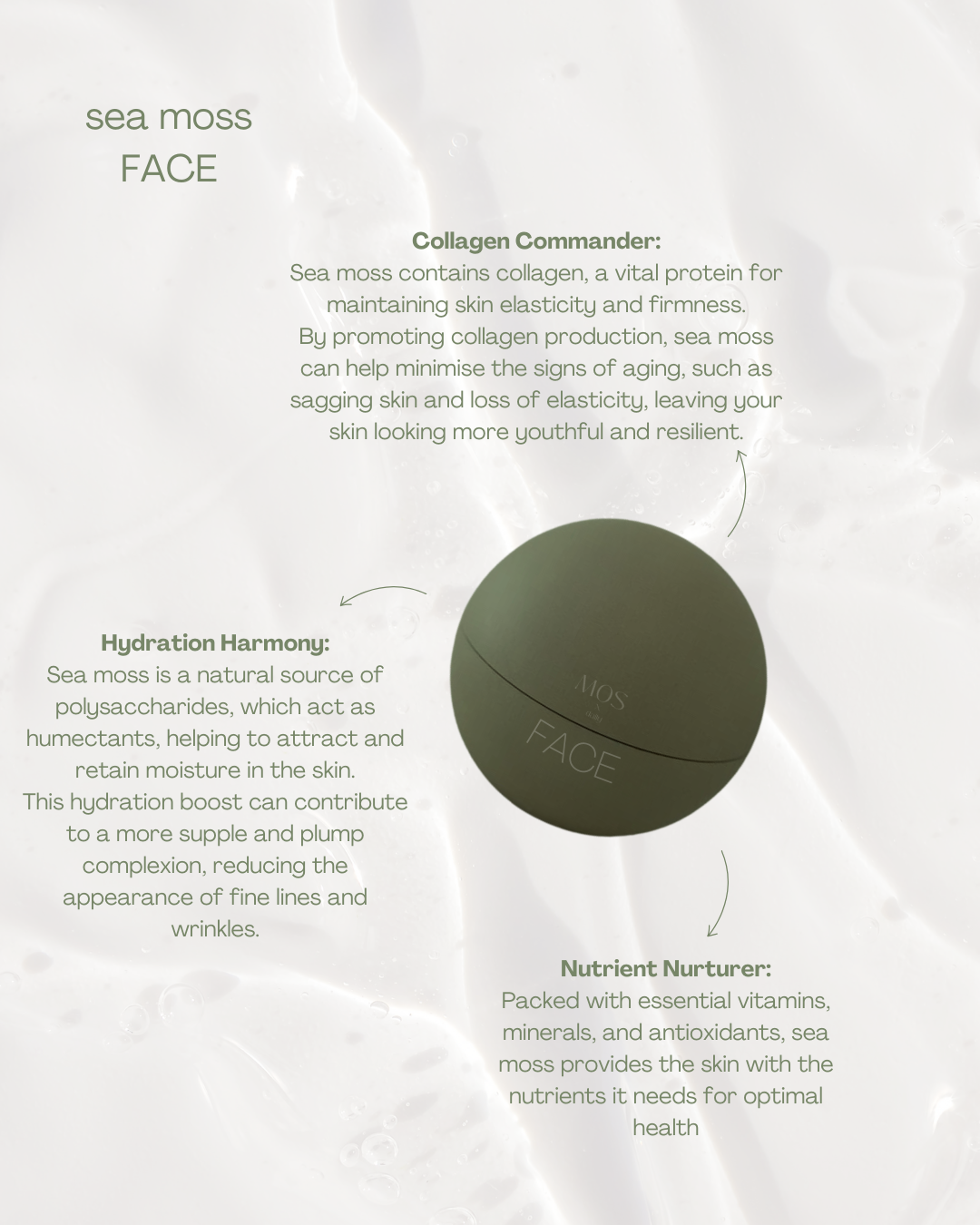 SEA MOSS FACE MASK - Mos x Daily